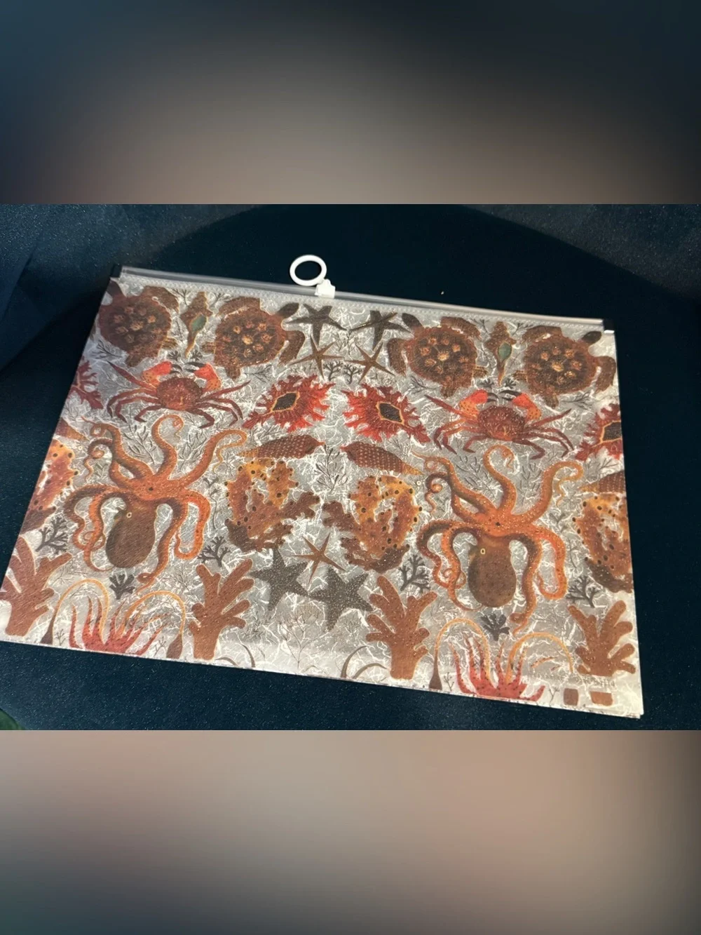 BV by Bruno Visconti Poly Zip Folder in Deep Sea Design - A4 size